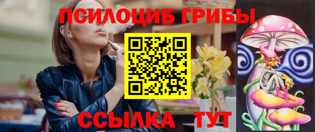 Ковров  Псилоцибиновые грибы прущие грибы  Псилоцибиновые грибы MAGIC MUSHROOMS  как найти наркотики  Вход с VPN 